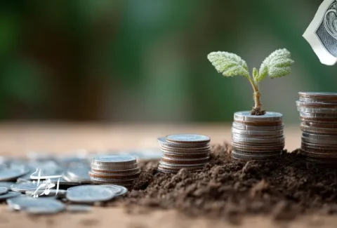 رشد گیاه از میان پشته‌ای از سکه‌ها؛ نمادی از سرمایه‌گذاری هوشمند و رشد پایدار اقتصادی